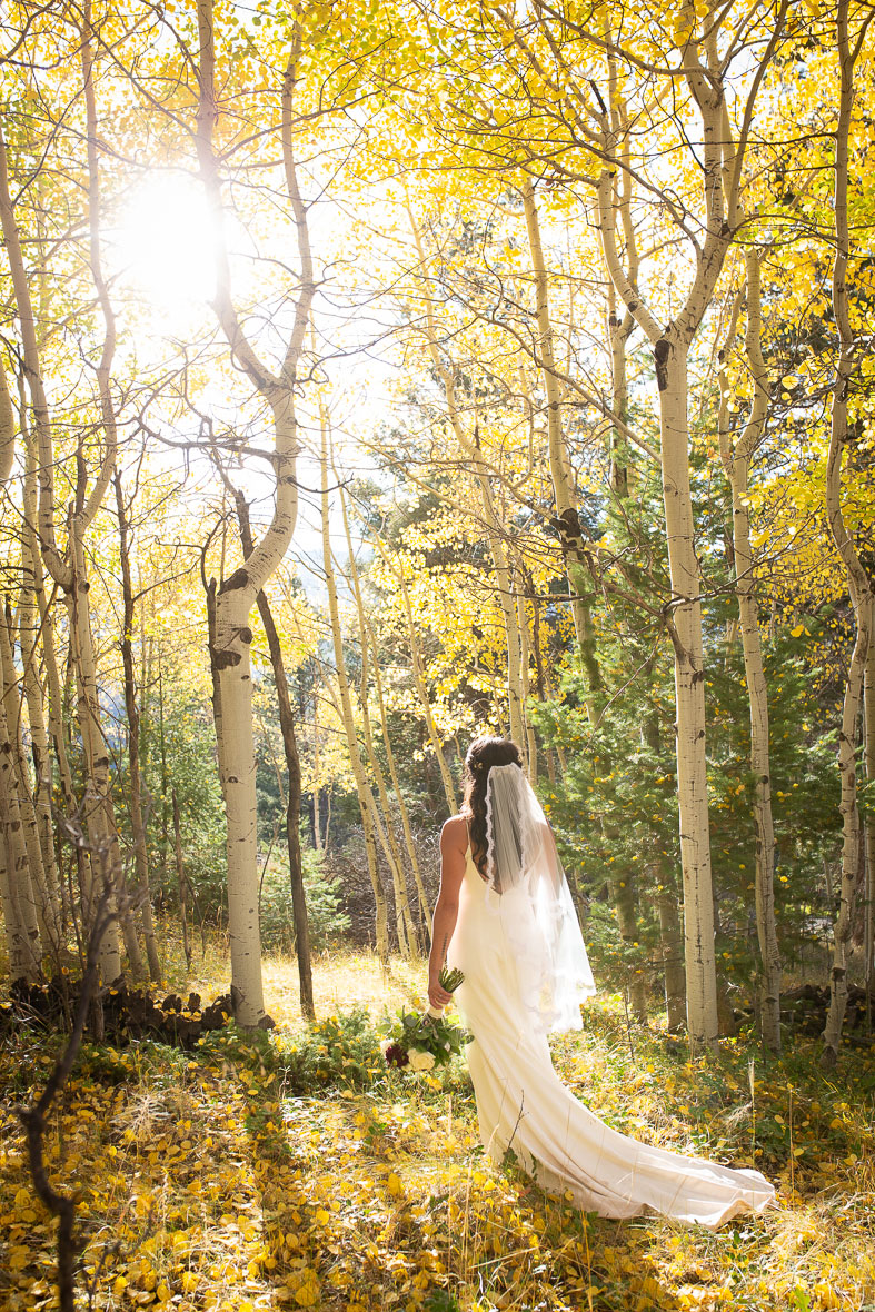 Angel Fire Resort Wedding