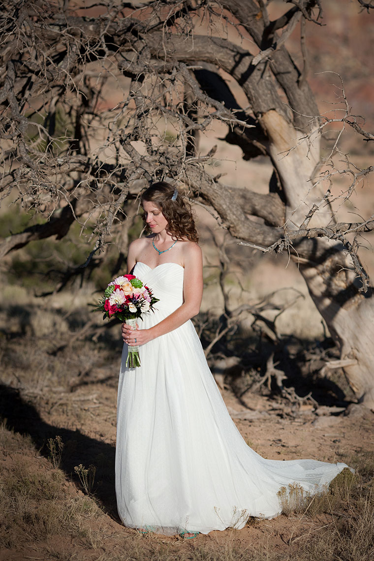 Ghost Ranch bridal portrait 